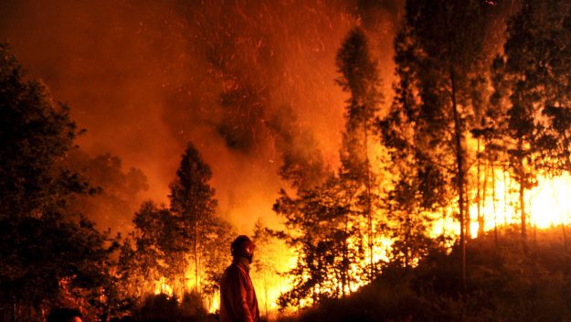 Incêndios Florestais