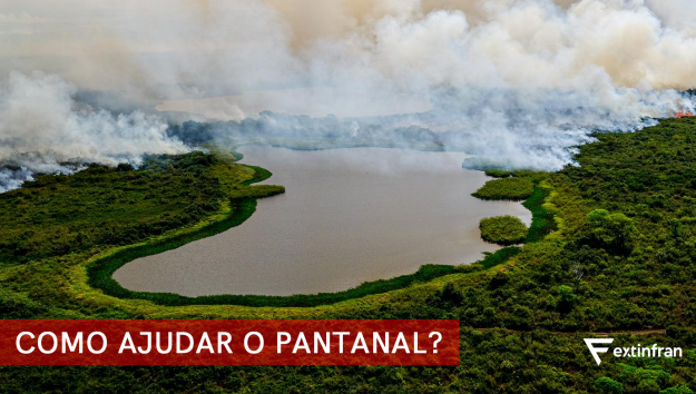 Incêndios no Pantanal Incêndios no Pantanal