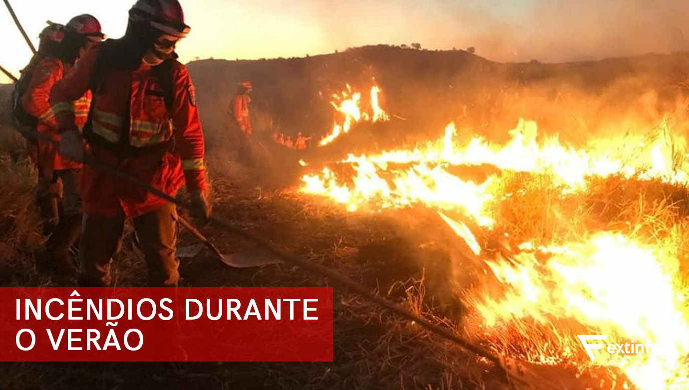 Apagar O Fogo Com Um Balde De água. Incêndios Florestais No Verão