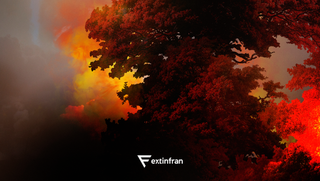 EXTINFRAN_BLOG_ar-seco-e-incendio
